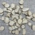四川三棱三棱片生三棱新货散装统货中药材批发大量批发各种规