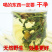 山东野生蒲公英纯草带根叶纯，量大从优，欢迎采购
