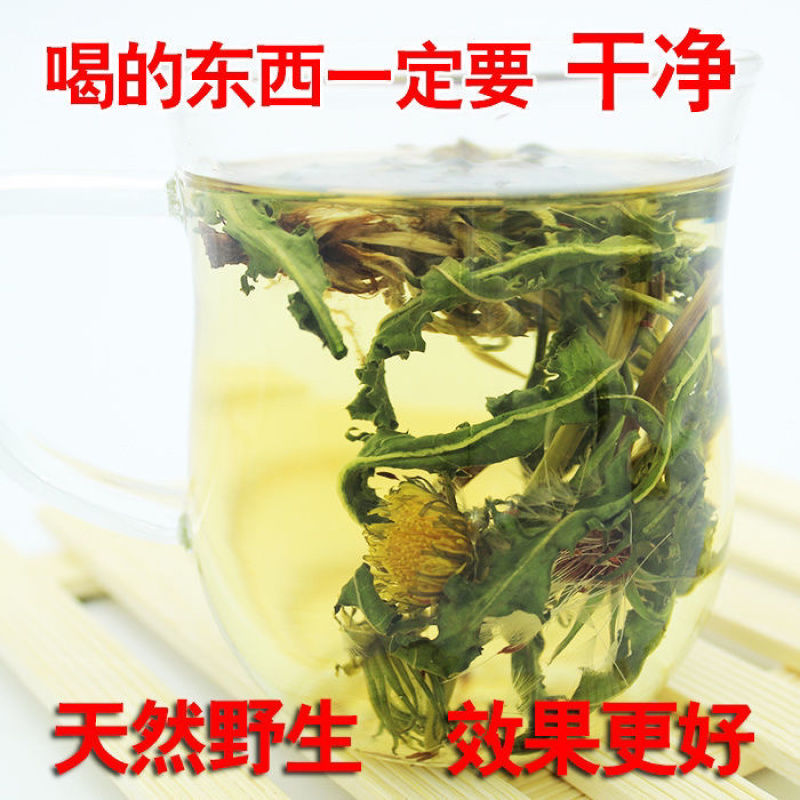 山东野生蒲公英纯草带根叶纯，量大从优，欢迎采购