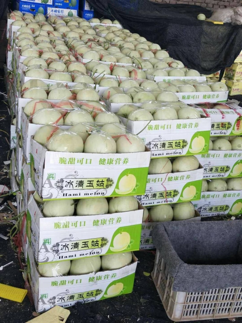 冰淇淋奶油甜瓜奶油玉姑甜瓜承接商超电商社团全国发货