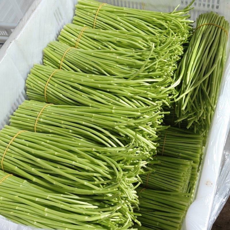 1月28号现货