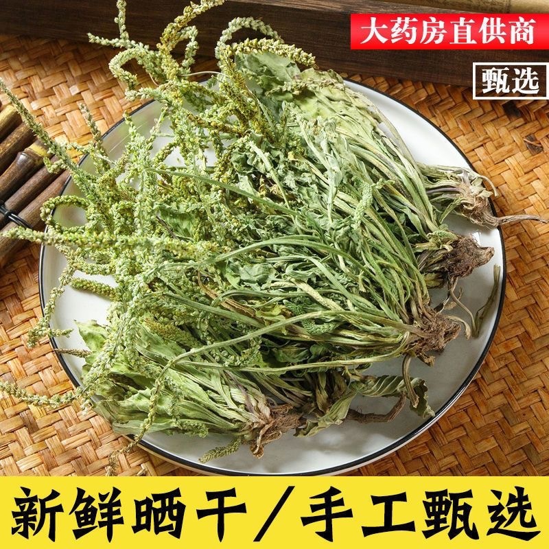 车前草野生中药材整株全草新鲜无硫干牛舌草晒干车前草