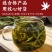 车前草野生中药材整株全草新鲜无硫干牛舌草晒干车前草