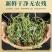 车前草野生中药材整株全草新鲜无硫干牛舌草晒干车前草