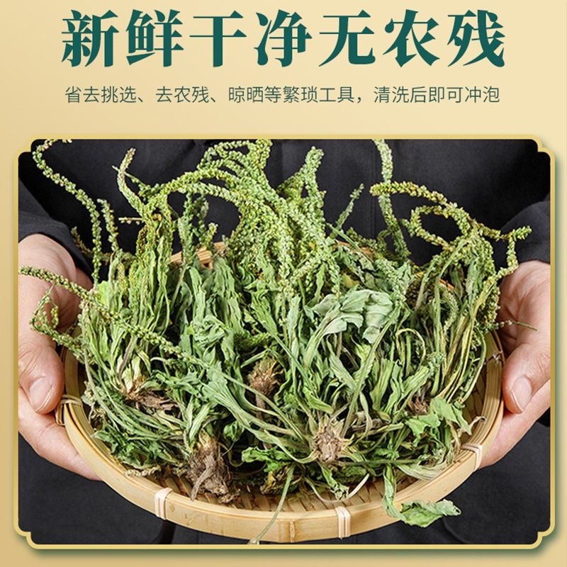 车前草野生中药材整株全草新鲜无硫干牛舌草晒干车前草