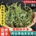 车前草野生中药材整株全草新鲜无硫干牛舌草晒干车前草