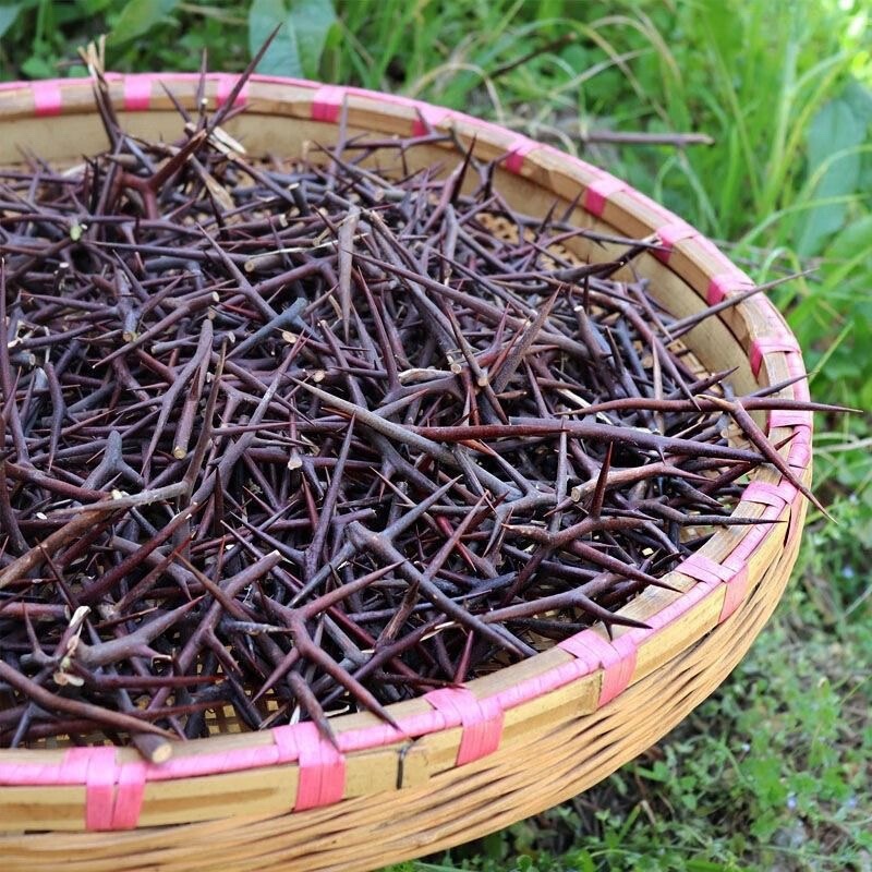 皂刺纯刺野生皂角刺皂荚刺天丁皂刺新货皂角刺正品