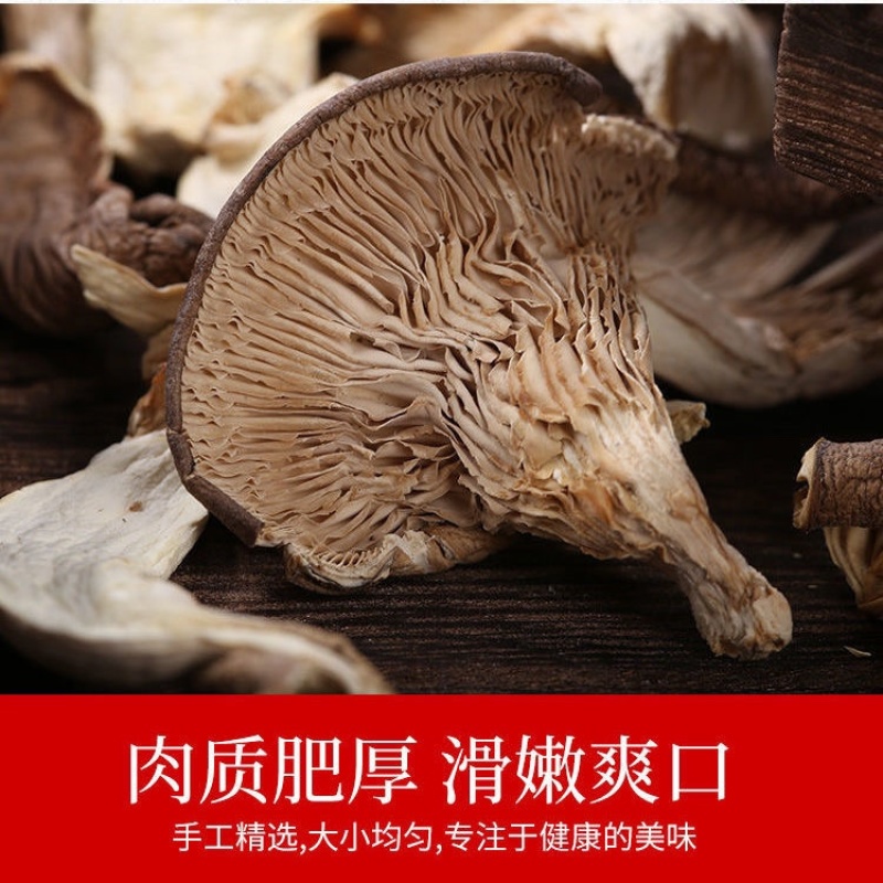 平菇片干货农家新货批发特产真姬菇凤尾菇蘑菇煮汤