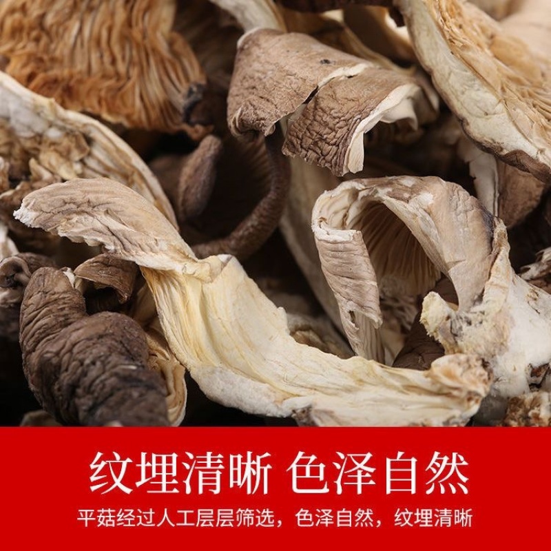 平菇片干货农家新货批发特产真姬菇凤尾菇蘑菇煮汤