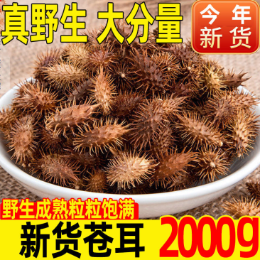 苍耳子新货正宗苍刺头实苍子苍棵子胡苍子苍耳仁