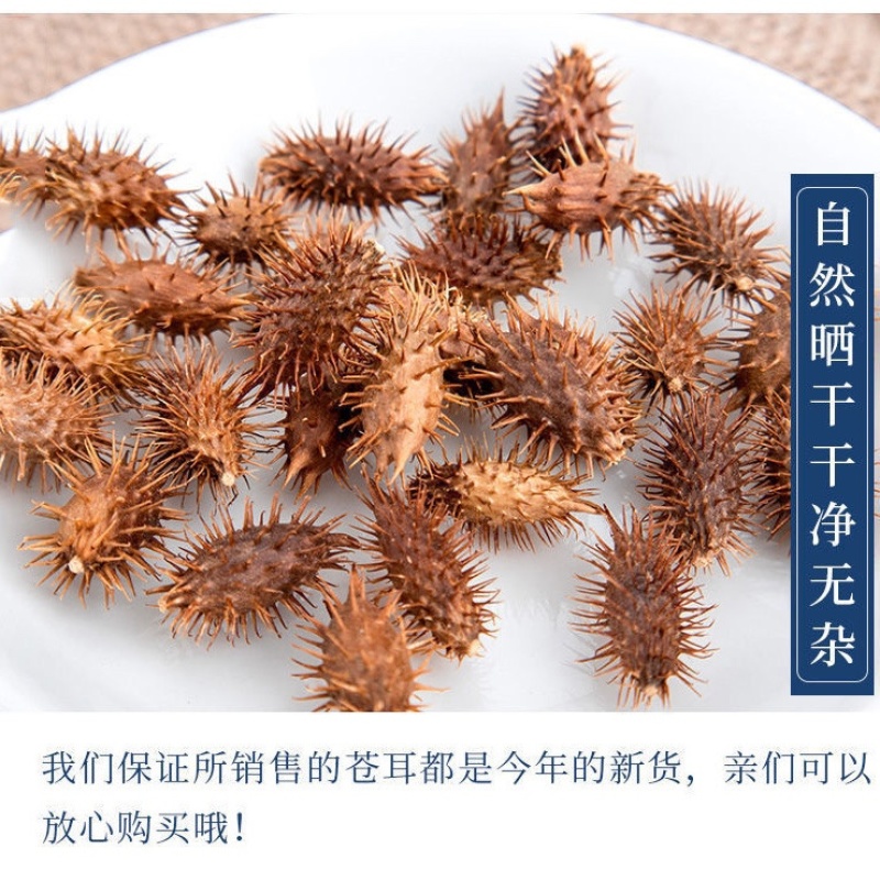 苍耳子新货正宗苍刺头实苍子苍棵子胡苍子苍耳仁