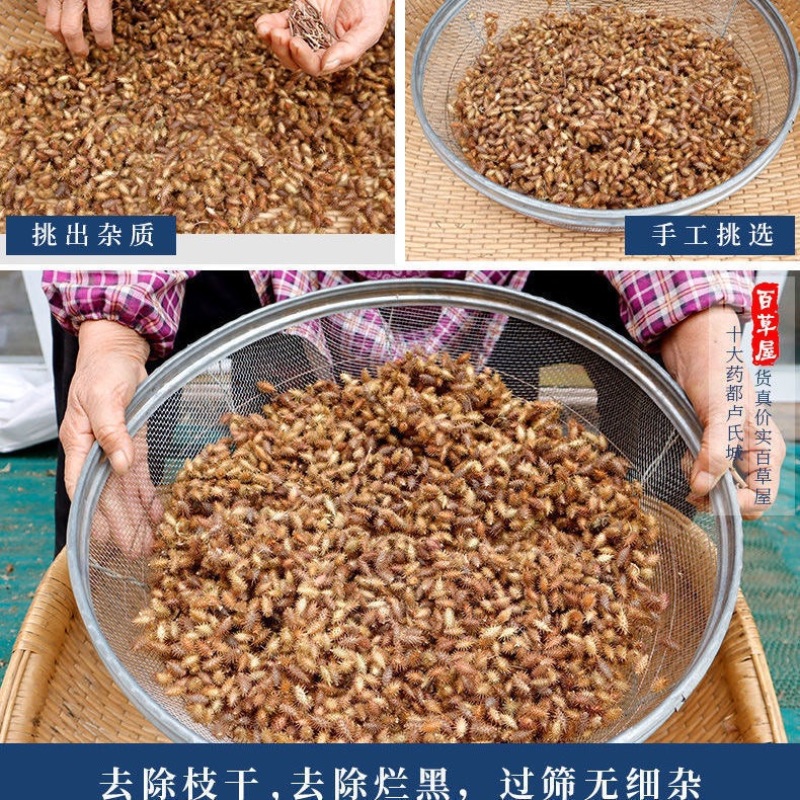 苍耳子新货正宗苍刺头实苍子苍棵子胡苍子苍耳仁
