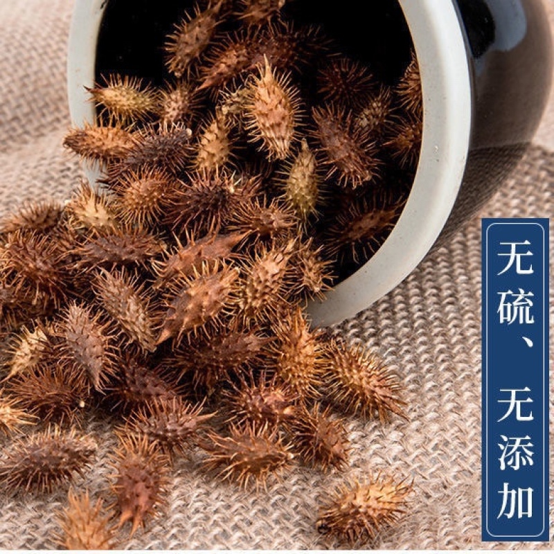 苍耳子新货正宗苍刺头实苍子苍棵子胡苍子苍耳仁