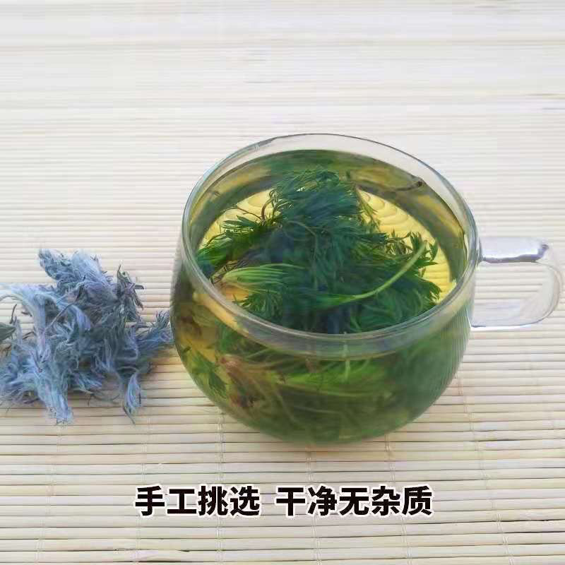 野生茵陈草整颗绵茵陈茵陈蒿草包邮白蒿晒干陈棉茵陈茶