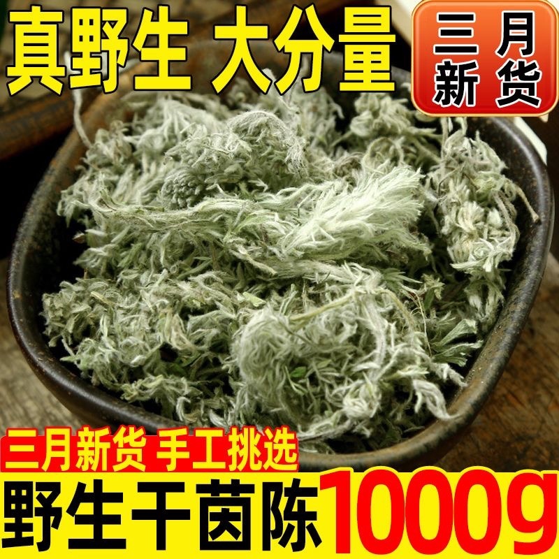 野生茵陈草整颗绵茵陈茵陈蒿草包邮白蒿晒干陈棉茵陈茶