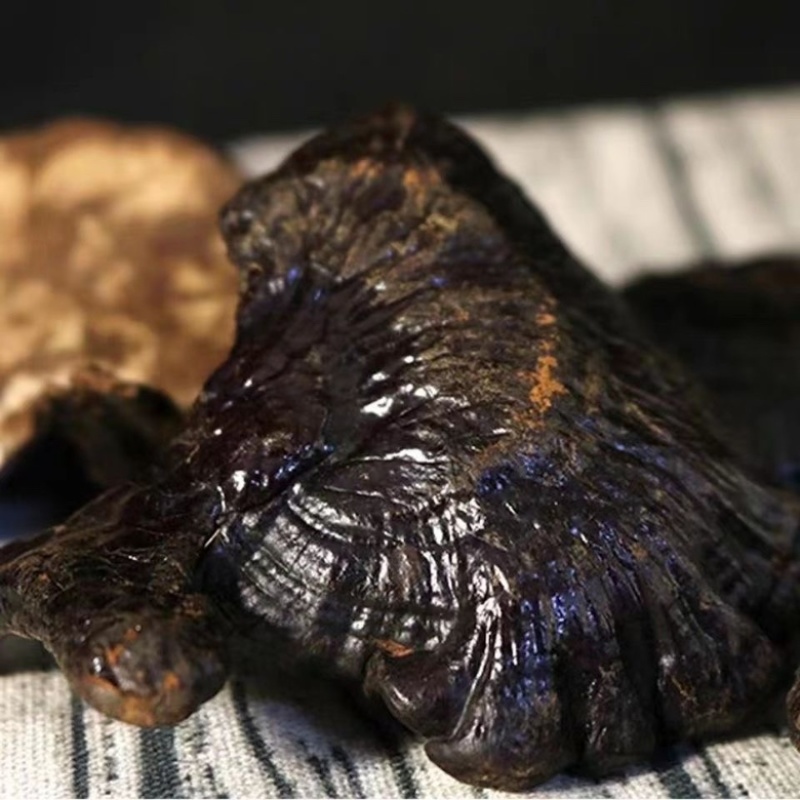 野生黑灵芝正品深山天然黑灵芝片泡茶煮茶整枝紫赤灵芝片