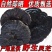 野生黑灵芝正品深山天然黑灵芝片泡茶煮茶整枝紫赤灵芝片