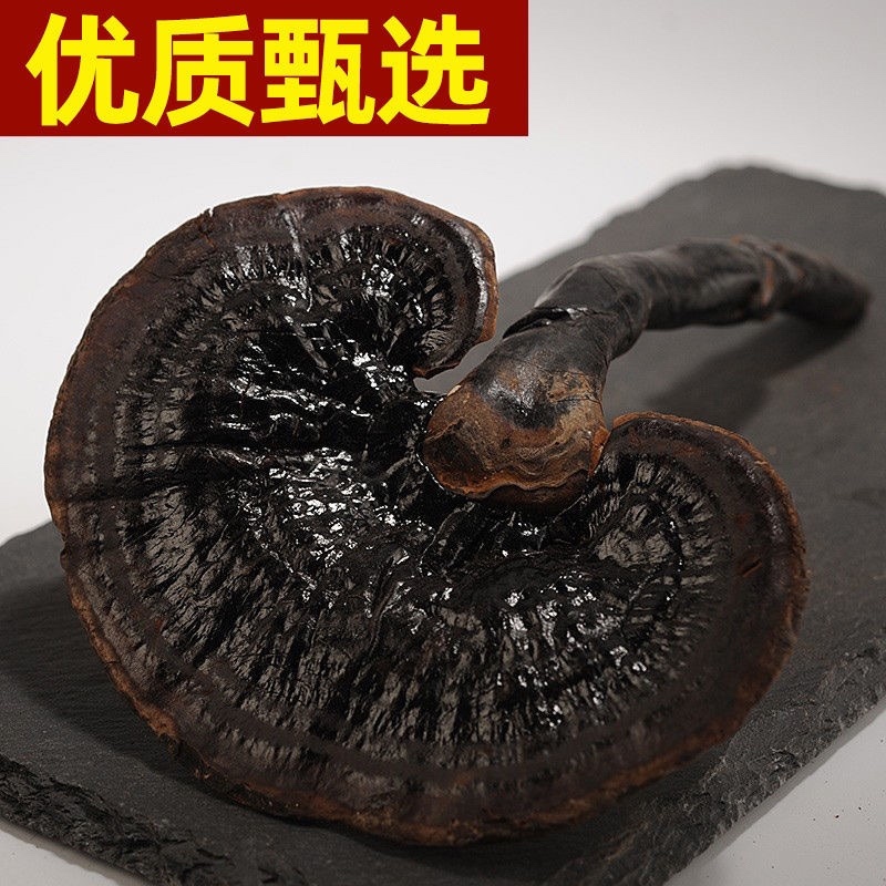 野生黑灵芝正品深山天然黑灵芝片泡茶煮茶整枝紫赤灵芝片