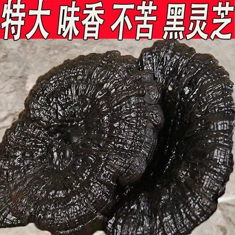 野生黑灵芝正品深山天然黑灵芝片泡茶煮茶整枝紫赤灵芝片