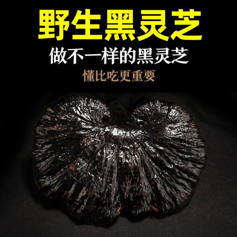 野生黑灵芝正品深山天然黑灵芝片泡茶煮茶整枝紫赤灵芝片