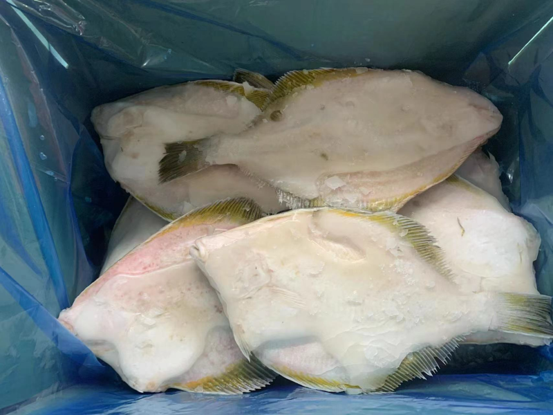 【现货抢购中】黄金鲽鱼，原料单冻都有，量大从优
