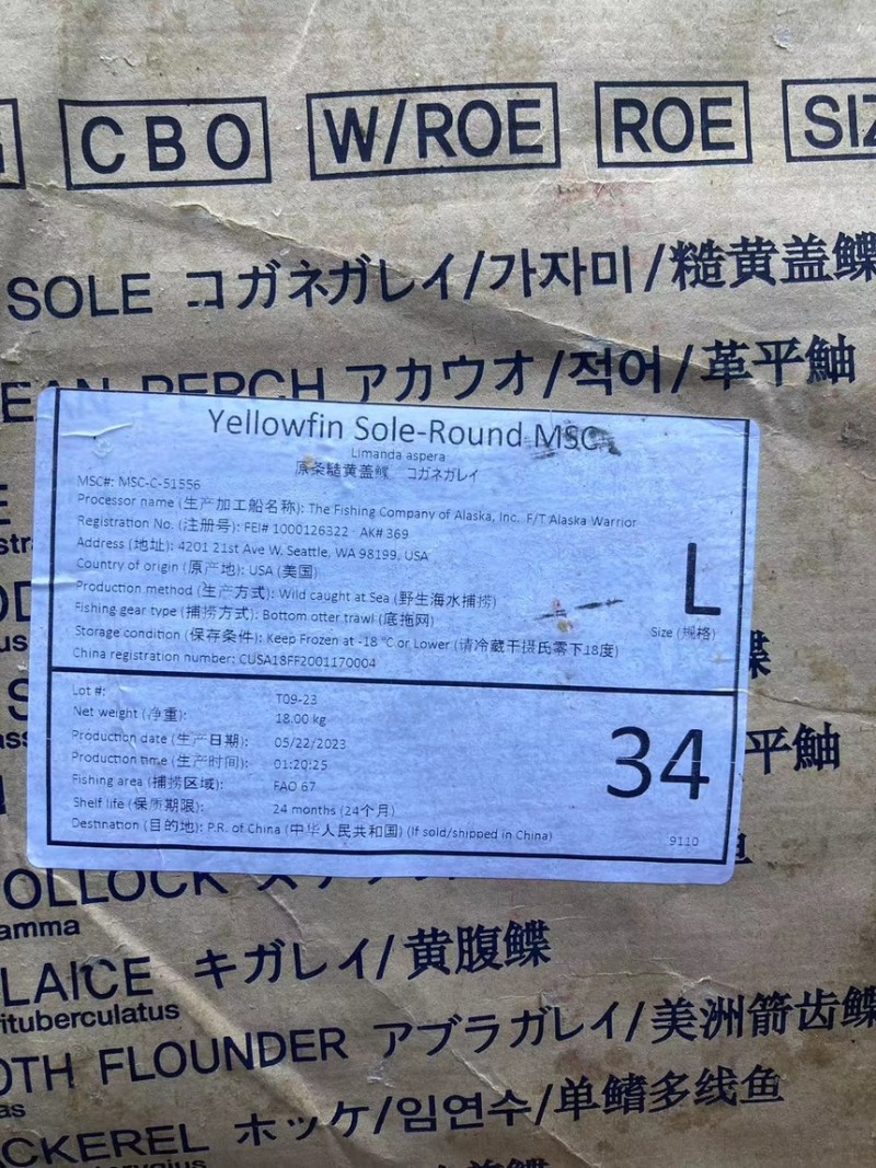 【现货抢购中】黄金鲽鱼，原料单冻都有，量大从优