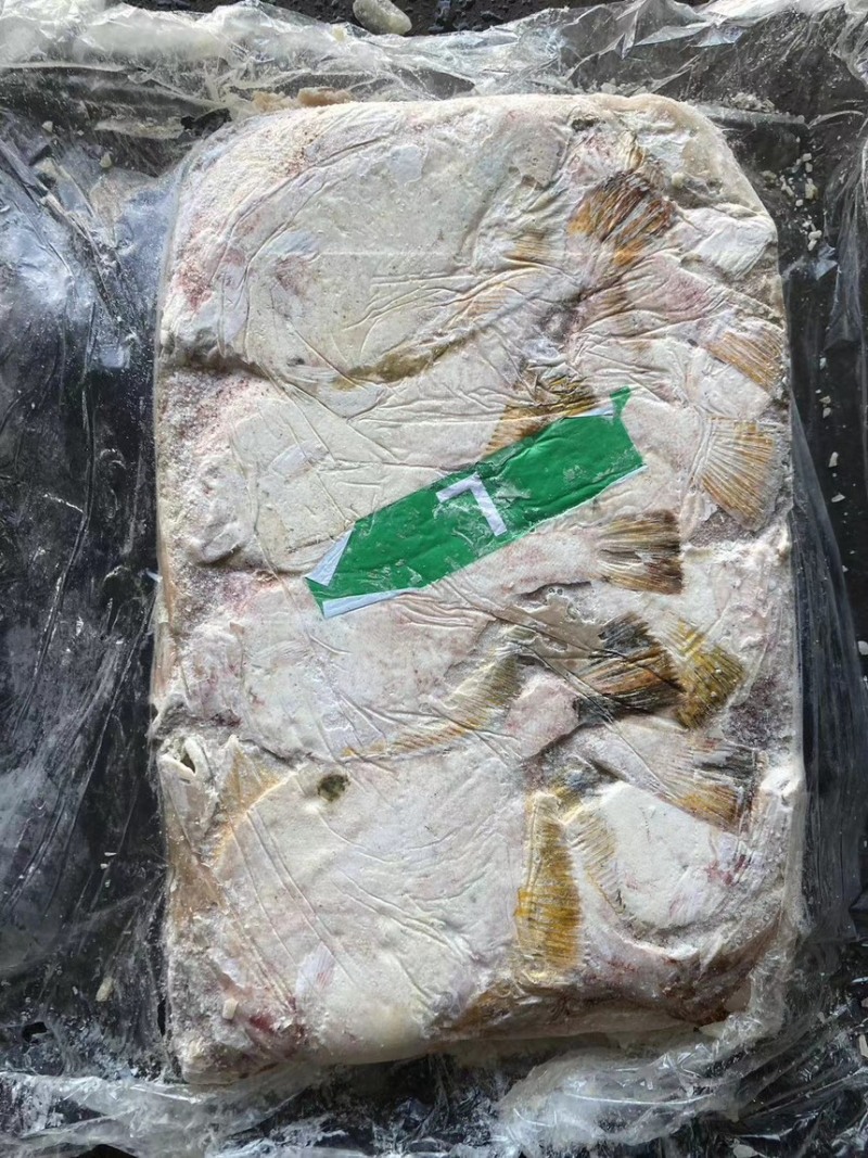 【现货抢购中】黄金鲽鱼，原料单冻都有，量大从优