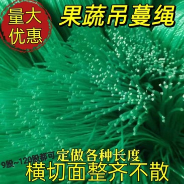 大棚蔬菜黄瓜西红柿辣椒吊线吊蔓绳吊秧绳熟料塑料绳子尼龙绳