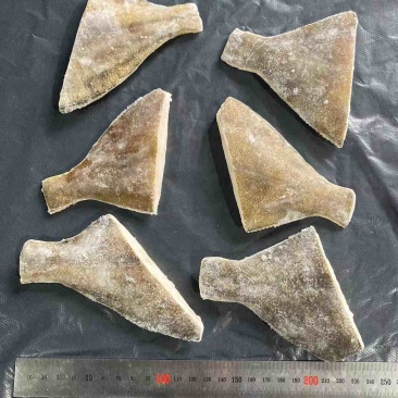 【全国发货】黄金鲽鱼，尾段食堂可用美味价优