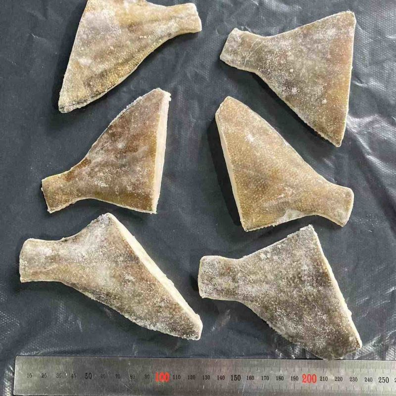 【全国发货】黄金鲽鱼，尾段食堂可用美味价优