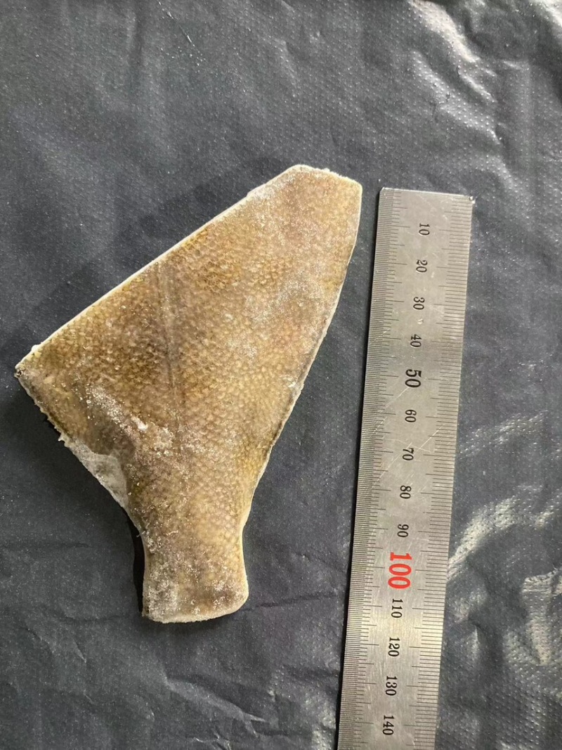 【全国发货】黄金鲽鱼，尾段食堂可用美味价优