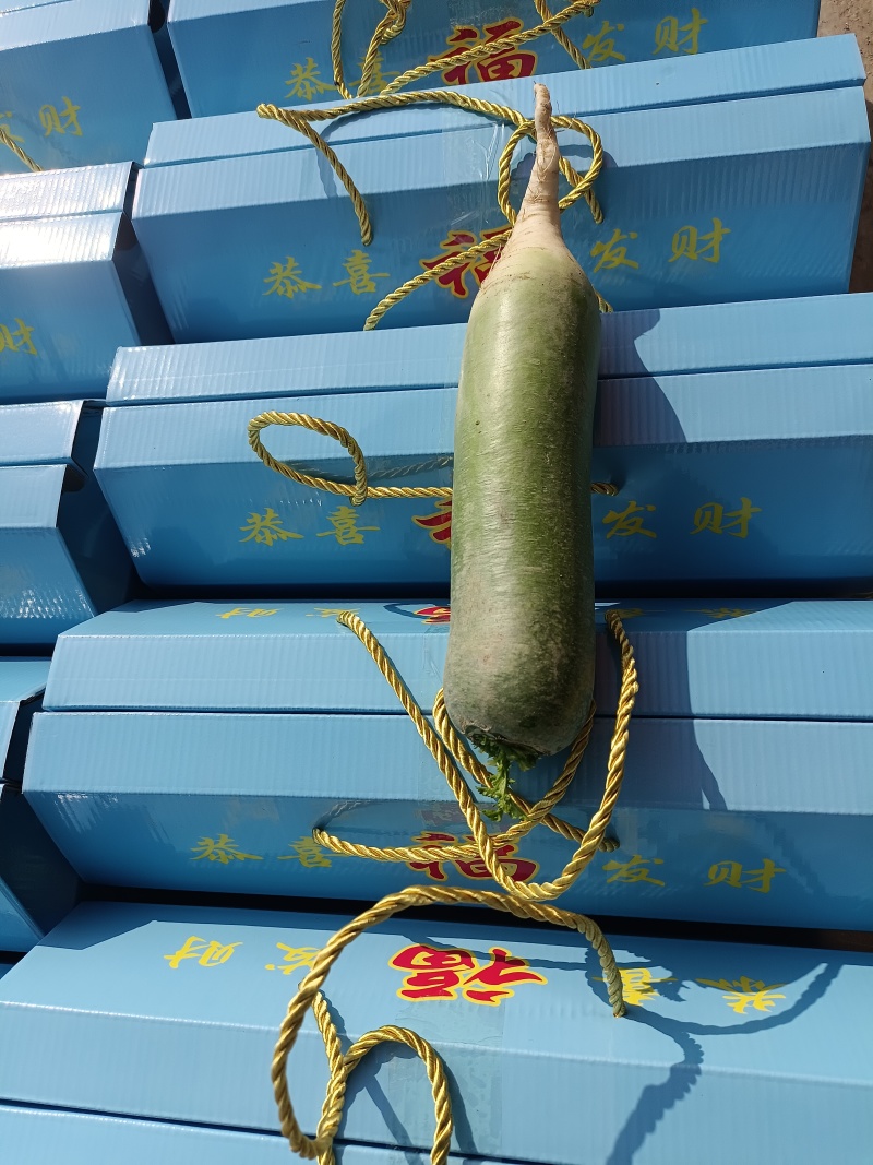 水果萝卜