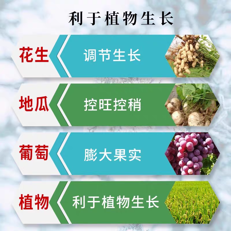 悦联稼宝10%调环酸钙红薯地瓜草莓控旺控梢膨果生长调节
