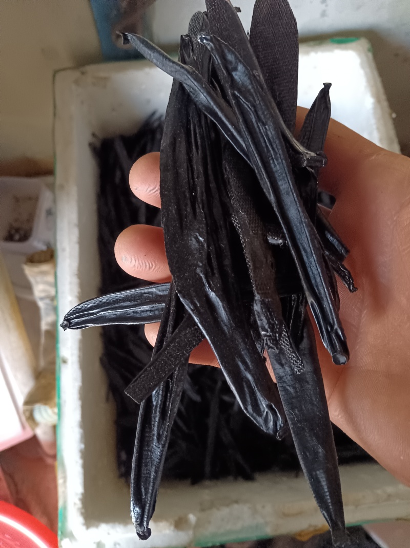 菲牛蛭干品医蛭干品质量保证全国发货