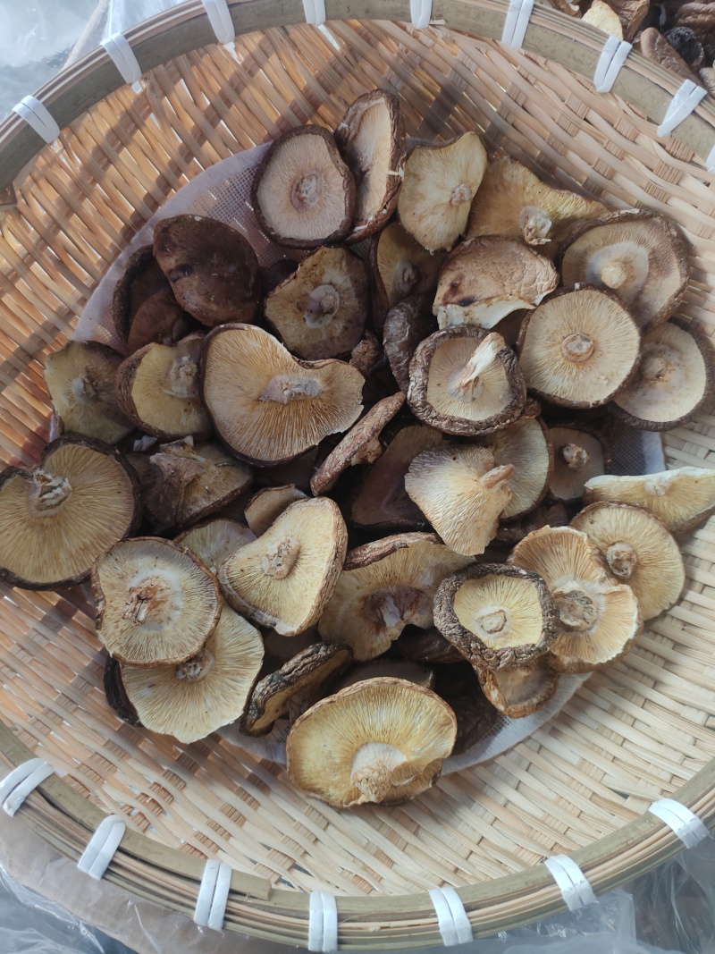 剪脚香信菇