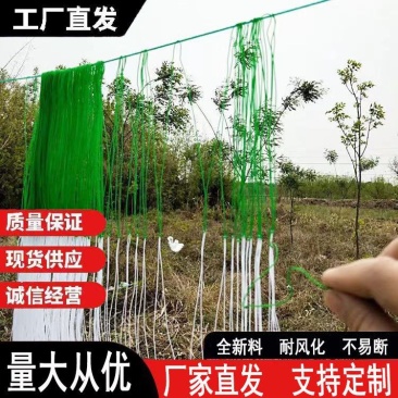爬藤网瓜果豆角种植专用厂家直供量大从优需要联系