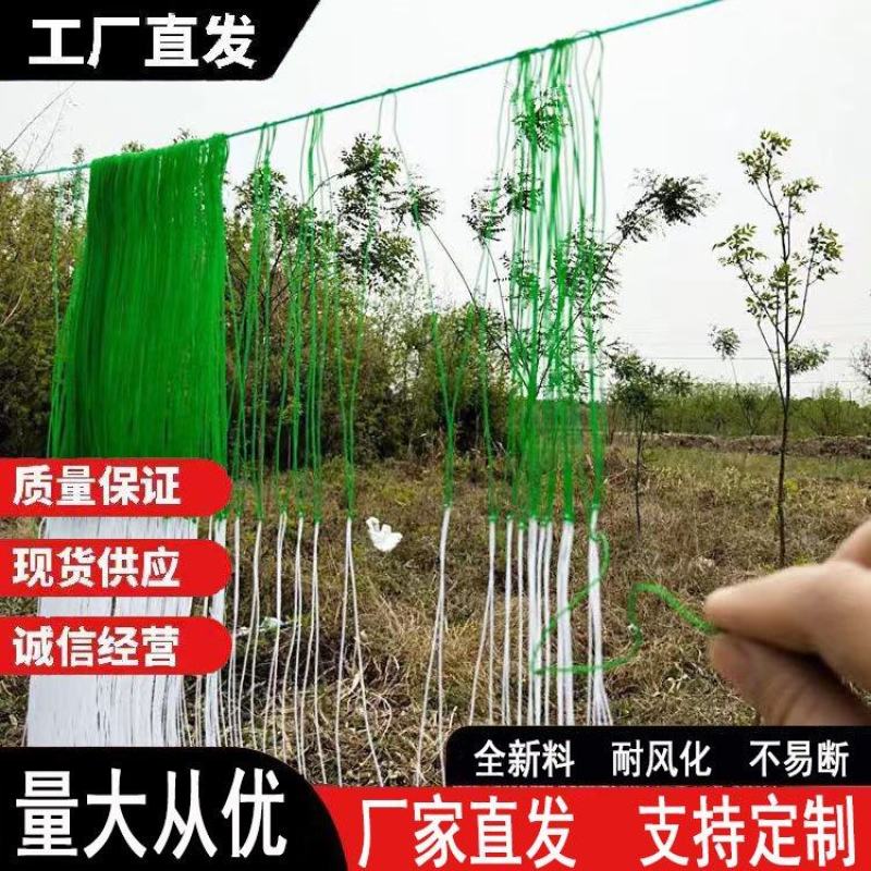 爬藤网瓜果豆角种植专用厂家直供量大从优需要联系