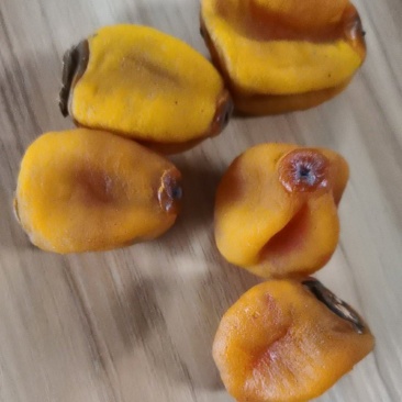 广西柿饼