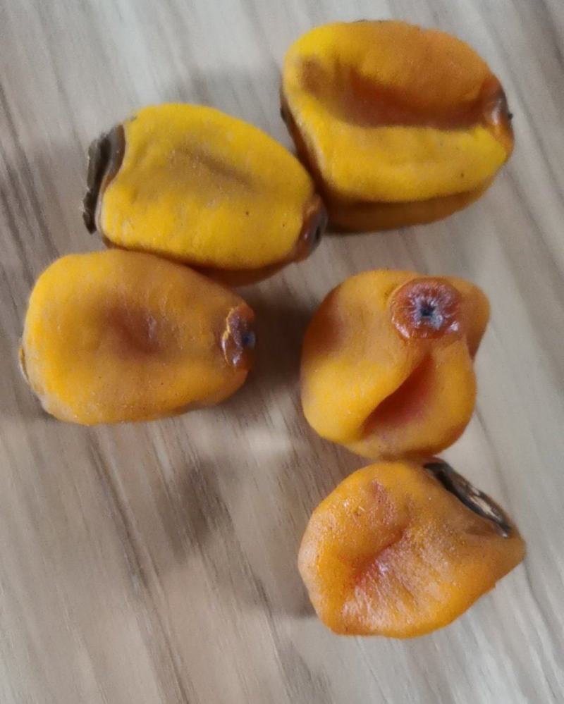 广西柿饼