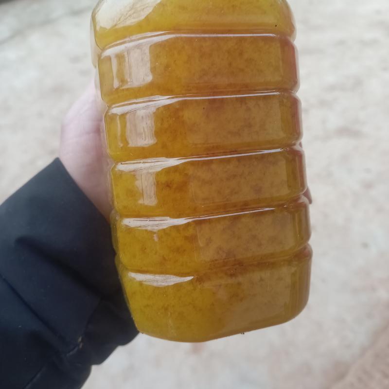 农村自养中蜂蜂蜜