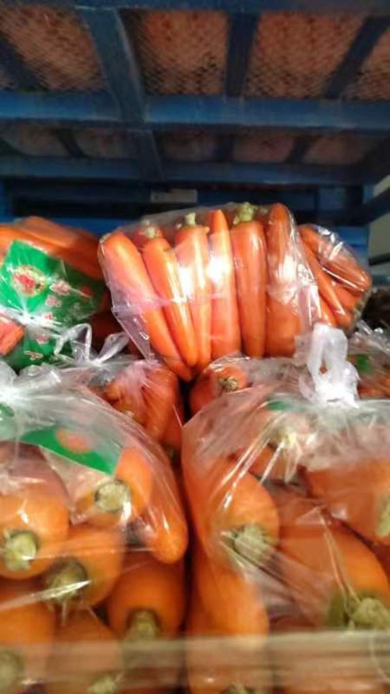 开封市精品三红胡萝卜，代收代发一条龙服务保证质量物美价廉