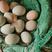 《精》湖北土鸡蛋量大从优价格可议欢迎来电咨询可视频