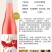 桃红葡萄酒酒庄直供品质保证全国发货欢迎致电