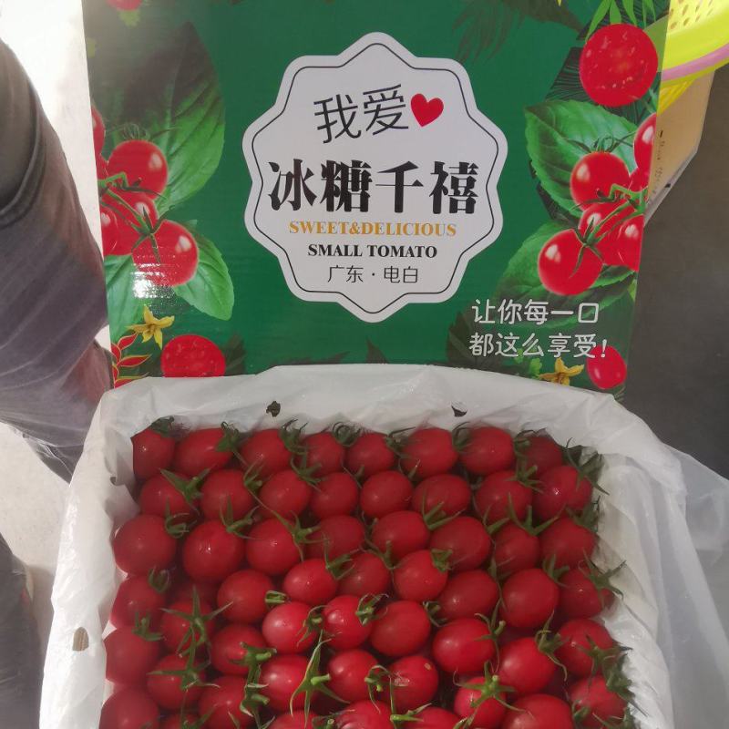 对接全国市场一手货源千禧圣女果对接国内各大市场电商平台