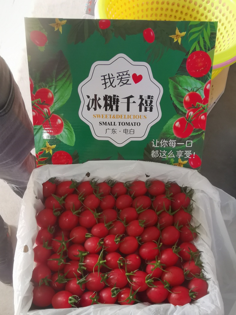 对接全国市场一手货源千禧圣女果对接国内各大市场电商平台