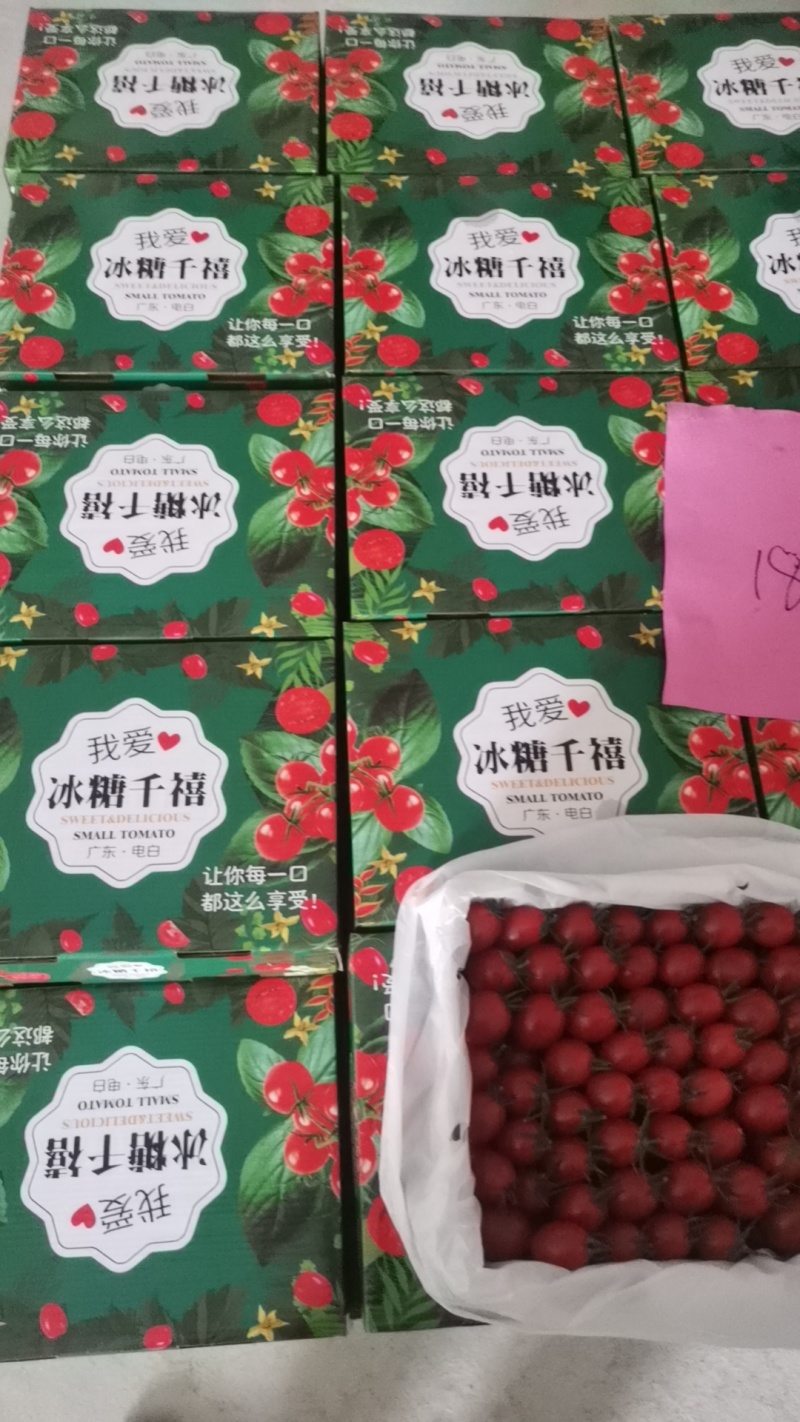 对接全国市场一手货源千禧圣女果对接国内各大市场电商平台
