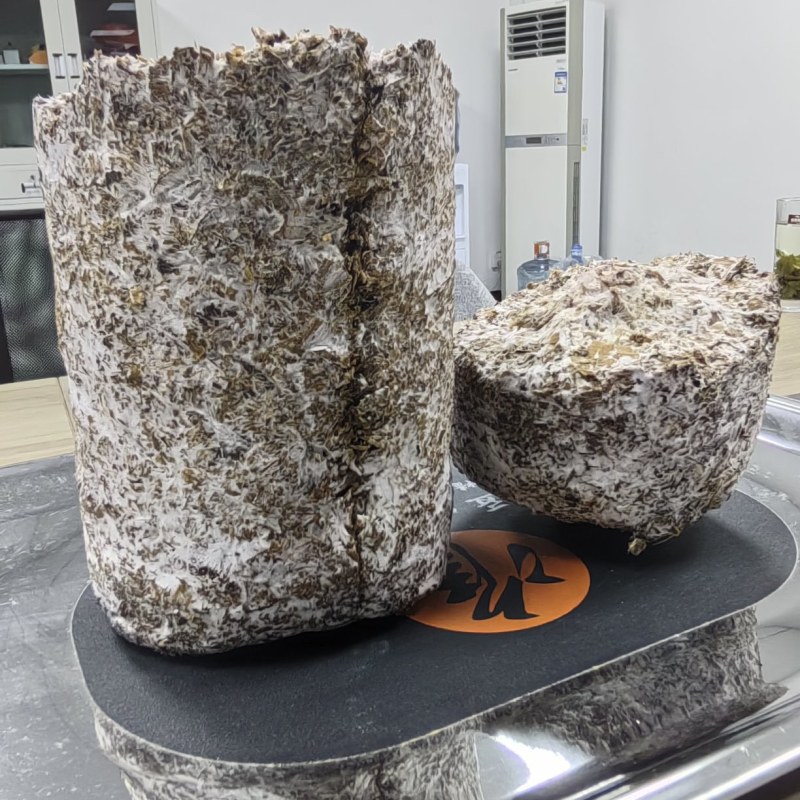 红托竹荪菌棒——高品质红托竹荪菌种，全程一条龙服务！