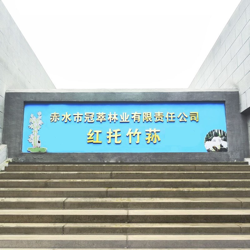 红托竹荪菌棒——高品质红托竹荪菌种，全程一条龙服务！