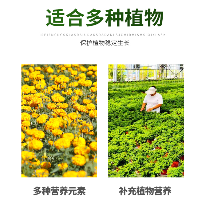 宸硕农业纯蚯蚓粪有机肥天然花肥盆栽通用种菜养大包