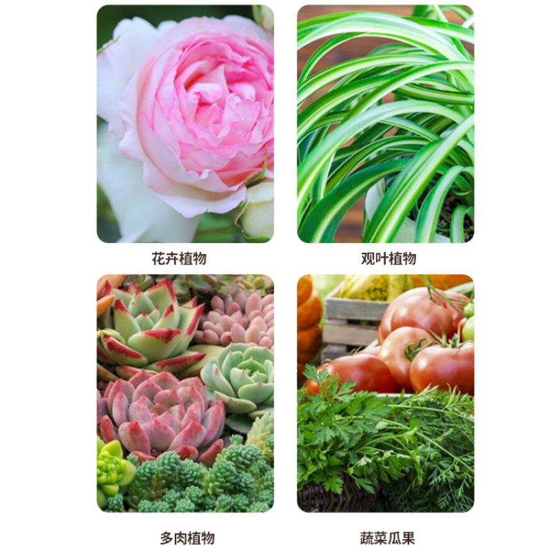 宸硕农业纯蚯蚓粪有机肥天然花肥盆栽通用种菜养大包